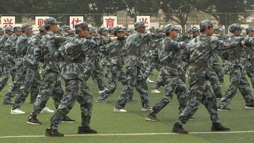 最新军训爆料新闻报道,揭秘军营生活与训练强度